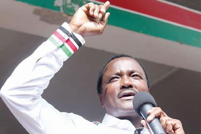 ___6449943___https:______static.pulse.com.gh___webservice___escenic___binary___6449943___2017___3___30___10___Kalonzo-Musyoka