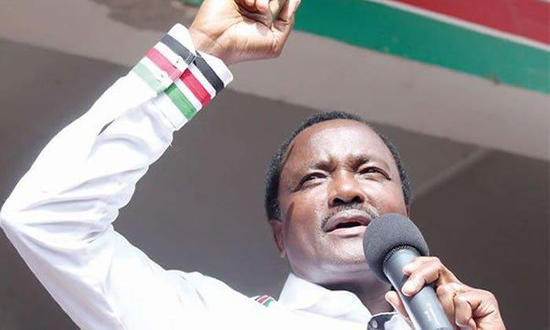 ___6449943___https:______static.pulse.com.gh___webservice___escenic___binary___6449943___2017___3___30___10___Kalonzo-Musyoka