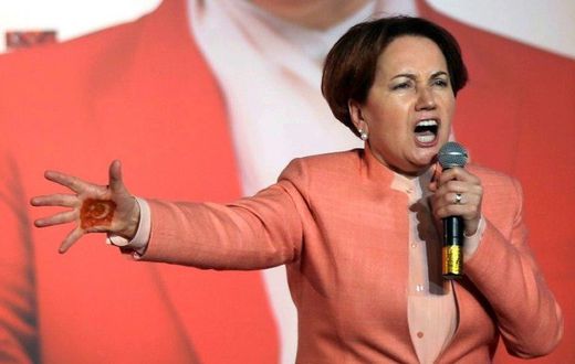 The top dissident member leading the 'No' wing of the the nationalists is former MHP leadership candidate, Meral Aksener, who rejects giving Erdogan more power.