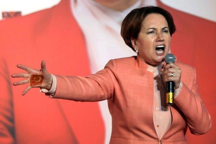 The top dissident member leading the 'No' wing of the the nationalists is former MHP leadership candidate, Meral Aksener, who rejects giving Erdogan more power.