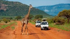 Tourists during a past tour of Tsavo East