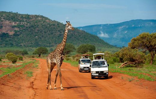 Tourists during a past tour of Tsavo East