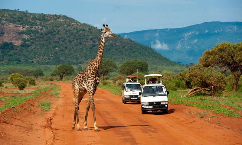 Tourists during a past tour of Tsavo East
