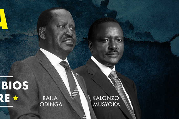 ___7023525___https:______static.pulse.com.gh___webservice___escenic___binary___7023525___2017___7___20___17___Kenya_Elections_Elections_Slides_-_644x272_px_copy