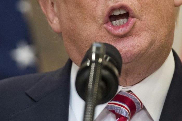 US President Donald Trump campaigned for office vowing to impose "a total ban on all Muslim immigration", raising concerns that he would only deepen distrust between America and the Muslim world