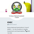 Screen shot of the Knec Twitter Bio
