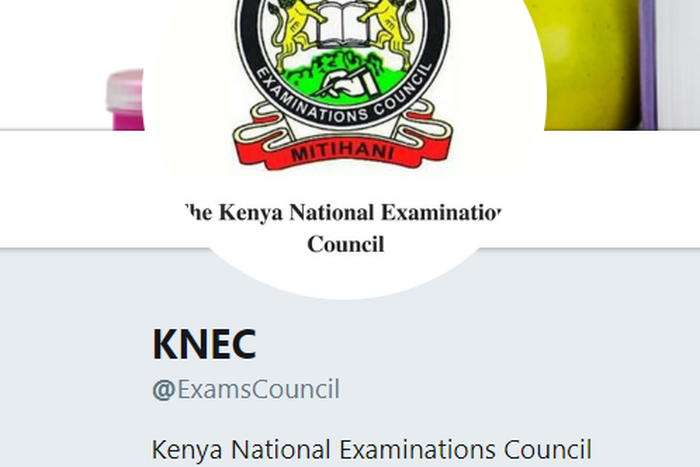Screen shot of the Knec Twitter Bio