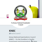 Screen shot of the Knec Twitter Bio