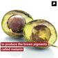 WHY IT'S OKAY TO EAT THE BROWN AVOCADO