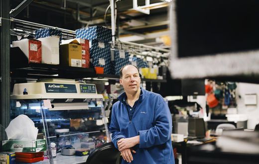 Stanford Clears Professor of Helping With Gene-Edited Babies Experiment