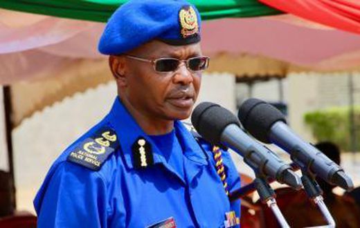 Inspector General of Police Joseph Boinnet
