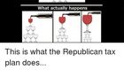 The trickle-down economics of trash picking