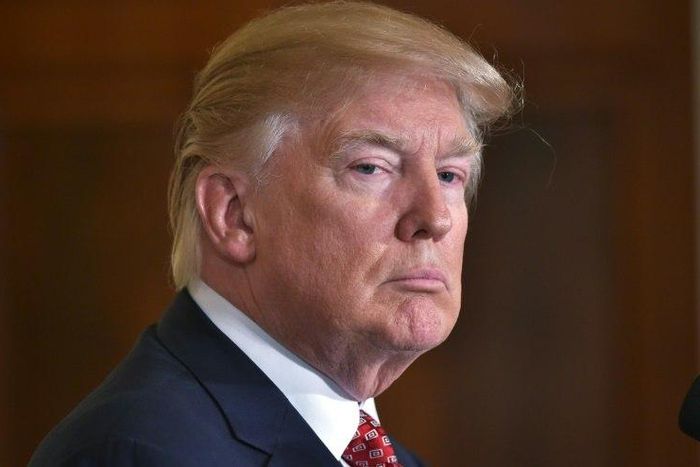 "We'll be doing something very rapidly having to do with additional security for our country. You'll be seeing that sometime next week," US President Donald Trump said