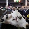 Francois Fillon visits the 2013 version of the Paris farm show but has postponed a visit to the 2017 event