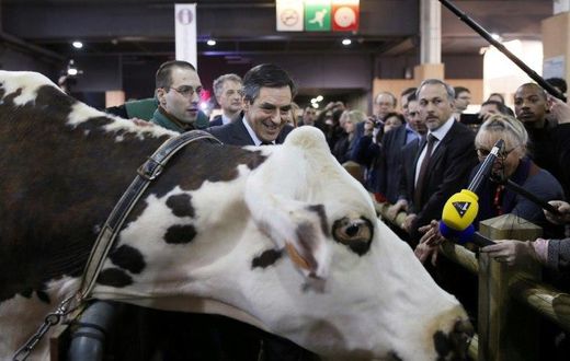 Francois Fillon visits the 2013 version of the Paris farm show but has postponed a visit to the 2017 event