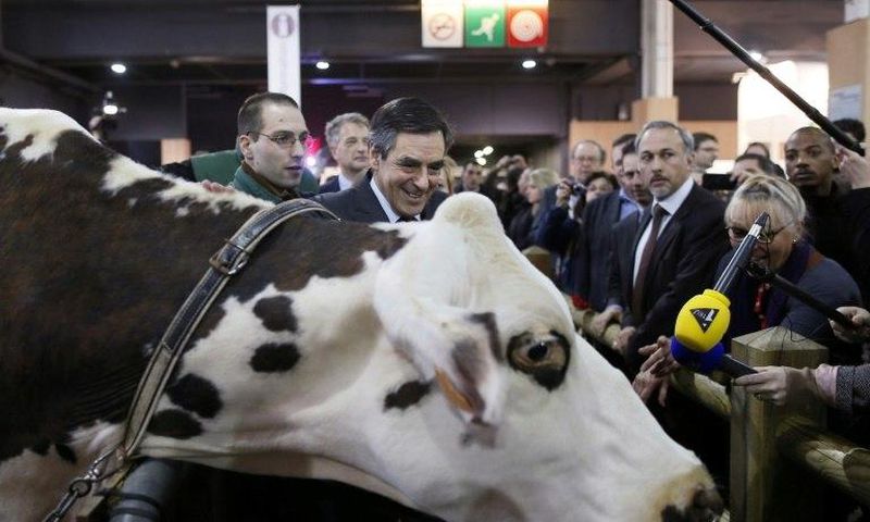 Francois Fillon visits the 2013 version of the Paris farm show but has postponed a visit to the 2017 event