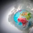 The study in the journal Science found that 82 percent of key ecological processes -- including genetic diversity and migration patterns -- are being altered by global warming