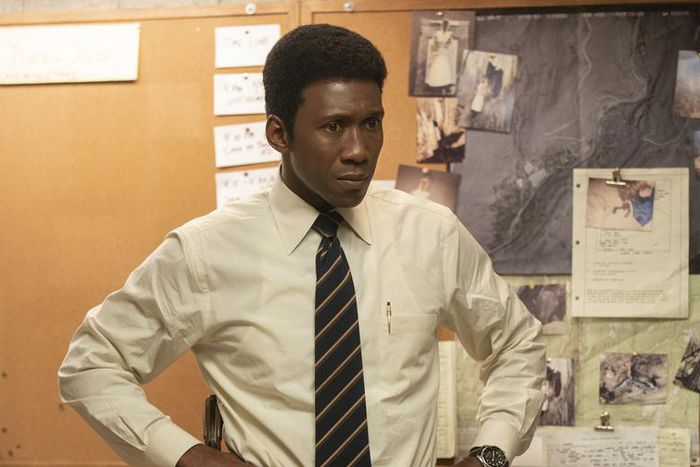 4 Fan Theories About 'True Detective' Season 3
