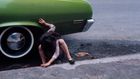 Taking a spin through American car culture