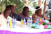 MPs Maina Kamanda (Nominated), Former Dagoreti South MP Dennis Waweru, Kiambaa MP Paul Koinange and Nyeri Town MP Ngunjiri Wambugu who are in team Kieleweka at a past event