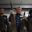 Malaysian Airports Customs Director Hamzah Sundang (C) shows seized rhino horns imported from Mozambique in a crate listed as containing art objects, April 10, 2017