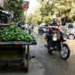 Egyptians are reeling after months of experiencing shortages of products ranging from sugar to baby formula