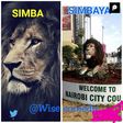 Mike Sonko Trolled Online Over 'Lion' He Put up in the Name of City Beautification