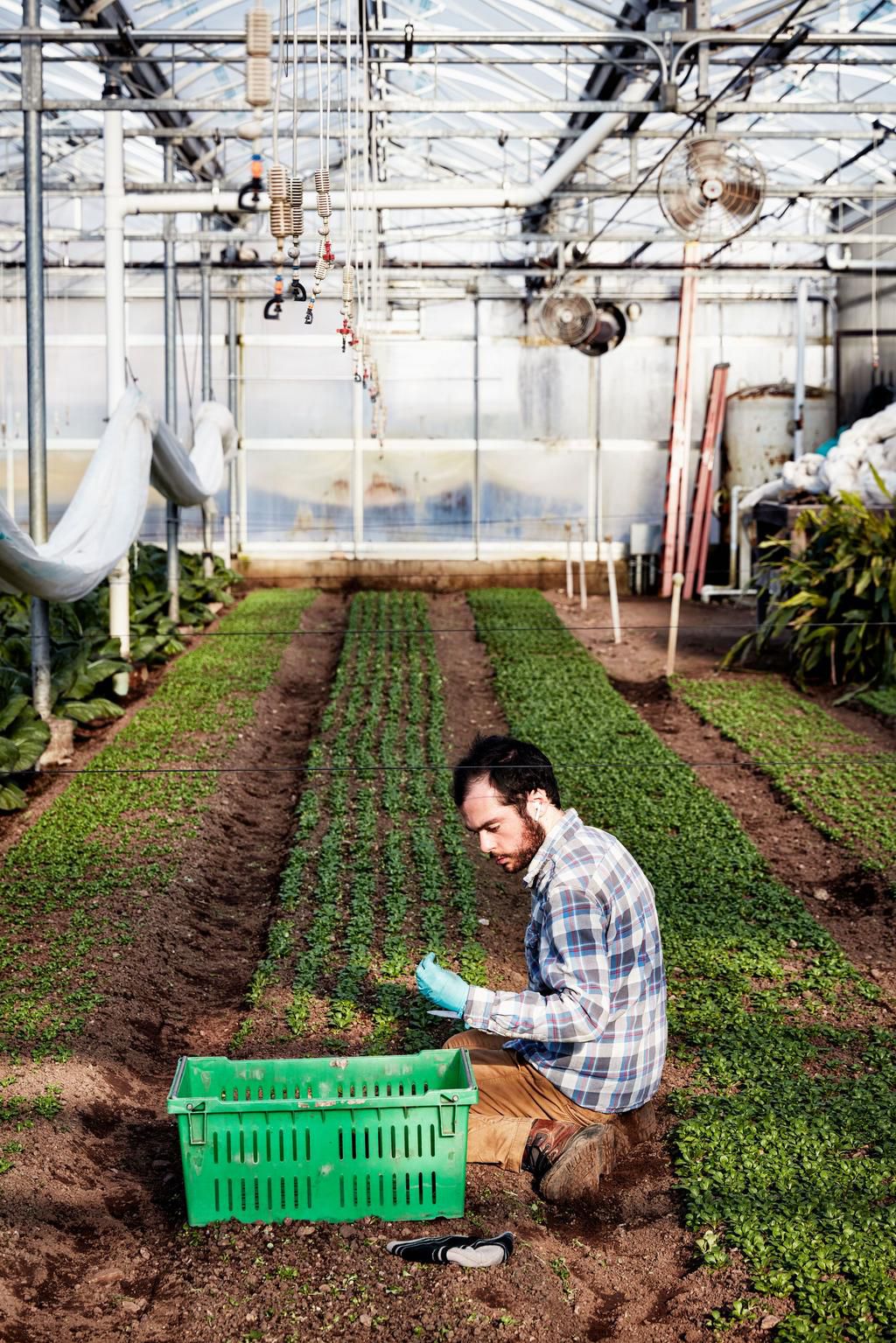 Who Will Save the Future of Food?