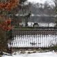 The teens were at a party in a small brick outhouse, seen here, which was apparently heated by a wood-burning stove, police said