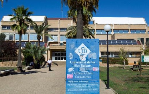 Two professors at the University of the Balearic Islands (UIB) were arrested ver the alleged sale of a "fake" cancer drug that raked in more than 600,000 euros