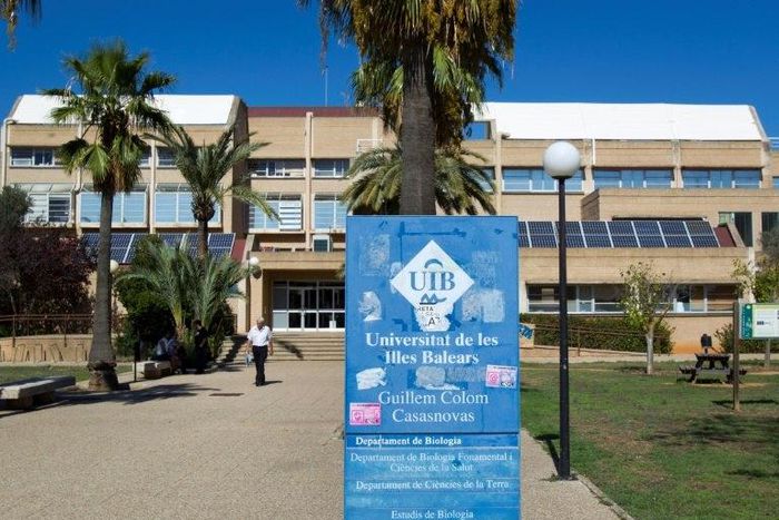 Two professors at the University of the Balearic Islands (UIB) were arrested ver the alleged sale of a "fake" cancer drug that raked in more than 600,000 euros