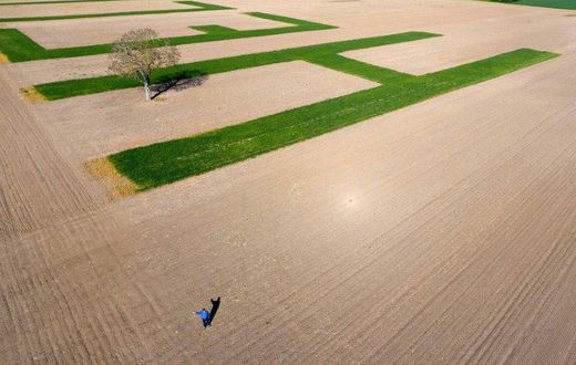 The letters in Jacques Fortin's field are 100 metres long