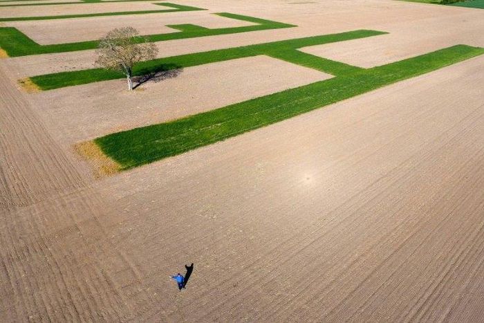 The letters in Jacques Fortin's field are 100 metres long