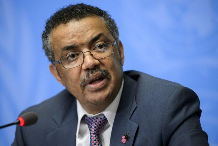 Ethiopian Foreign Minister Tedros Adhanom is bidding to become the first African to lead the WHO