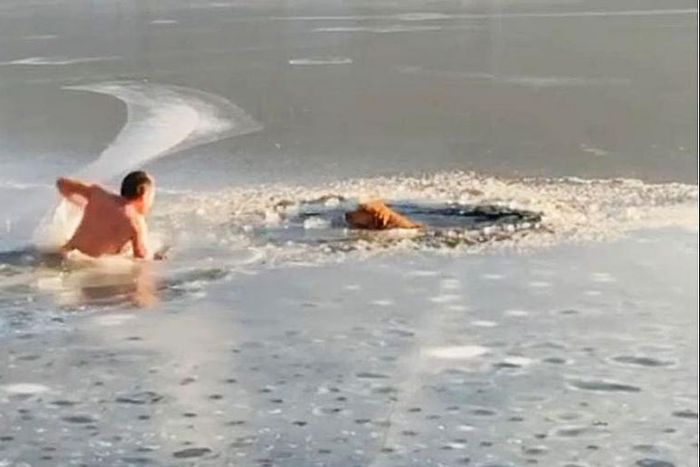 Man Jumps Into Frozen Reservoir to Save Two Dogs