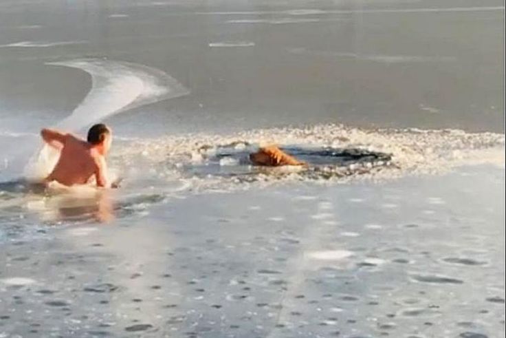 Man Jumps Into Frozen Reservoir to Save Two Dogs