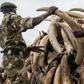 ___5667404___https:______static.pulse.com.gh___webservice___escenic___binary___5667404___2016___10___27___15___ivory