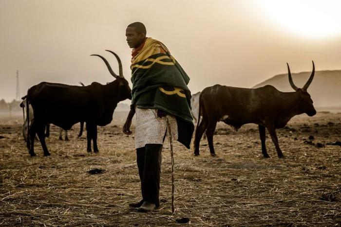 Both farmers and herdsmen hope Nigeria's next government will settle their bloody feud