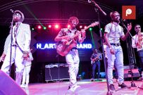 Hart the Band on Stage at Africa Nouveau Festival 2019 (Image Pulse Live)