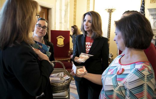 Defeat in 2013 Gave Gun-Control Activists a Base to Work From