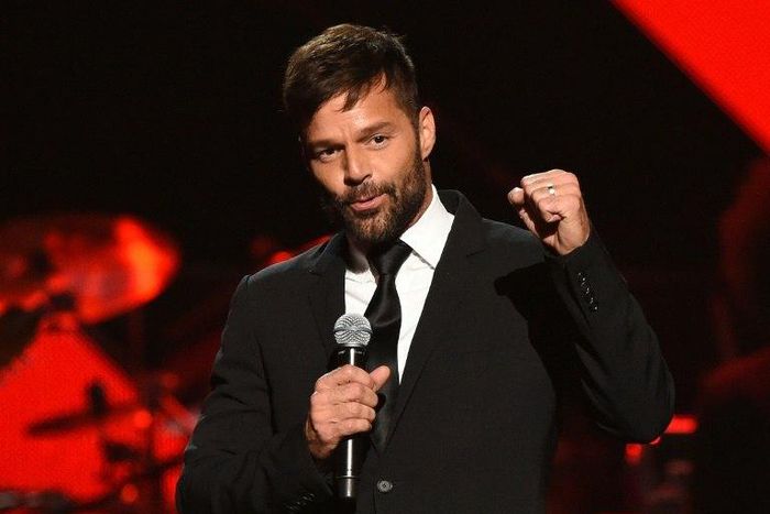 Ricky Martin said his husband-to-be gets along really well with his eight-year-old twins, who were born to a surrogate mother