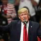 A Mexico official has urged an investigation into a Donald Trump-led failed condominium project in Tijuana