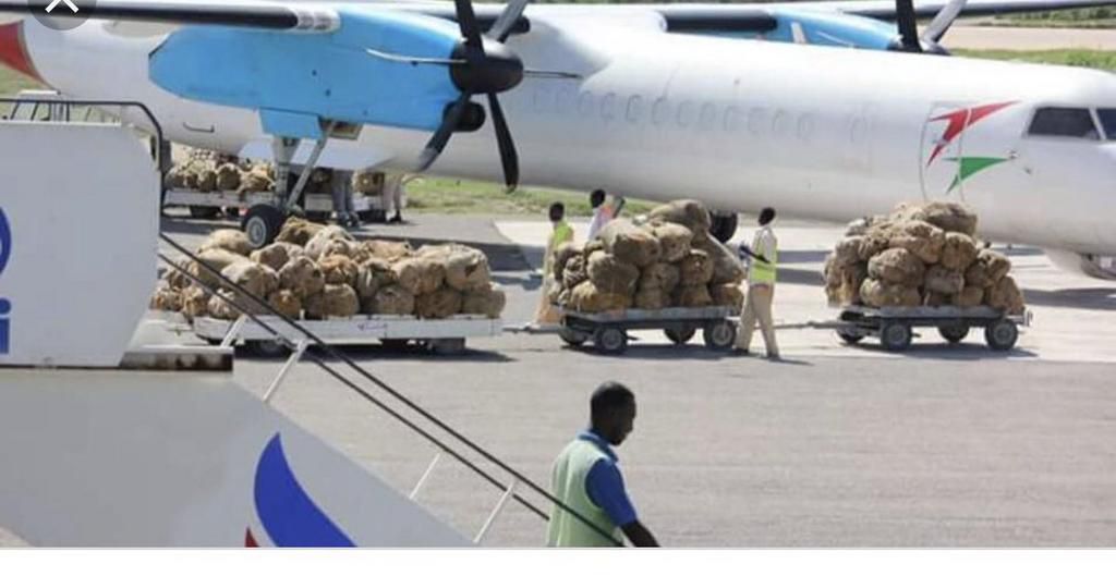 Cargo being loaded on to a plane ready for export