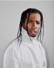 Man with three strand braids (Instagram naturalhairmen)