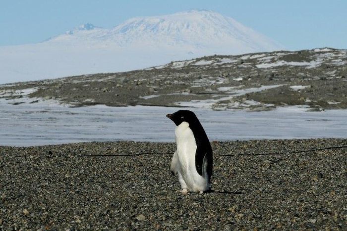Global warming has caused ice to melt faster than normal in the Antarctic, while Arctic summer sea ice shrank to 4.14 million square kilometres (1.6 million square miles) in 2016