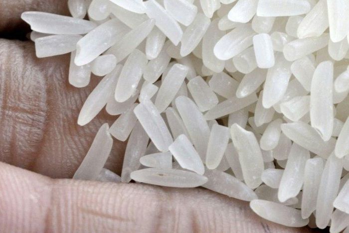 Although the refugees are safe in Angola, there is a shortage of food in the camps, with up to 12 people often forced to share a single kilogramme (2.2 pounds) of rice, the UN's children's fund says