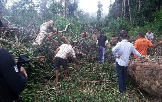 People search a remote area in Gleba Taquarucu do Norte, near Colniza, in the Brazilian state of Mato Grosso where at least 9 people were killed in an apparent land dispute, on April 21, 2017