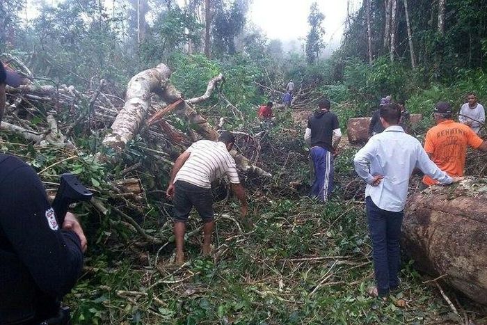 People search a remote area in Gleba Taquarucu do Norte, near Colniza, in the Brazilian state of Mato Grosso where at least 9 people were killed in an apparent land dispute, on April 21, 2017