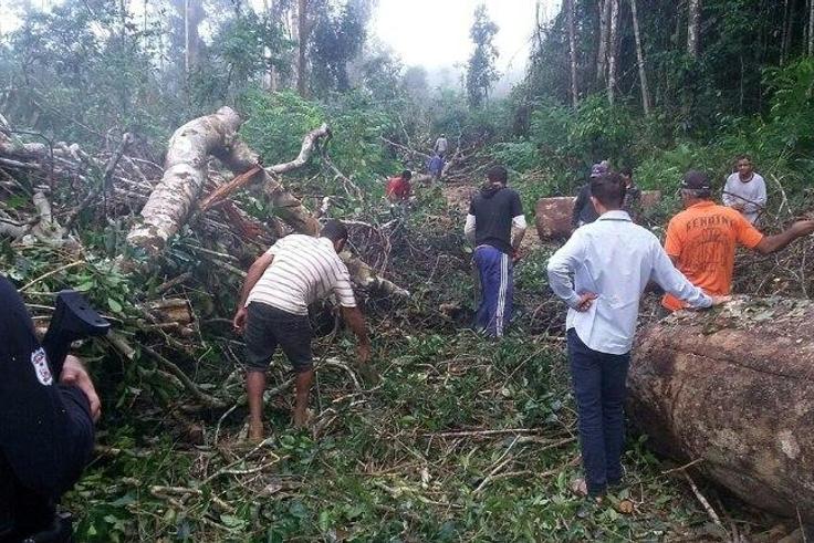 People search a remote area in Gleba Taquarucu do Norte, near Colniza, in the Brazilian state of Mato Grosso where at least 9 people were killed in an apparent land dispute, on April 21, 2017