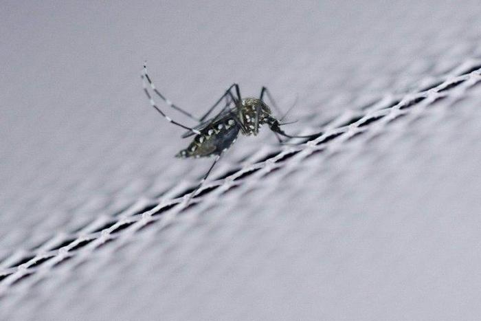 Zika is a mosquito-borne virus linked to birth defects like microcephaly and rare adult-onset neurological problems such as Guillain-Barre Syndrome, which can result in paralysis and even death